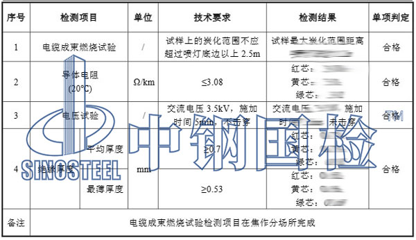 成束燃燒試驗檢測項目結(jié)果